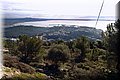 P2145761.JPG
