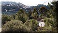 P2145767.JPG