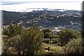 P2145768.JPG
