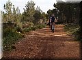 P2145810.JPG