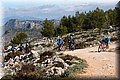 P2145847.JPG