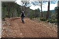 P2145855.JPG