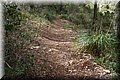 P2145860.JPG