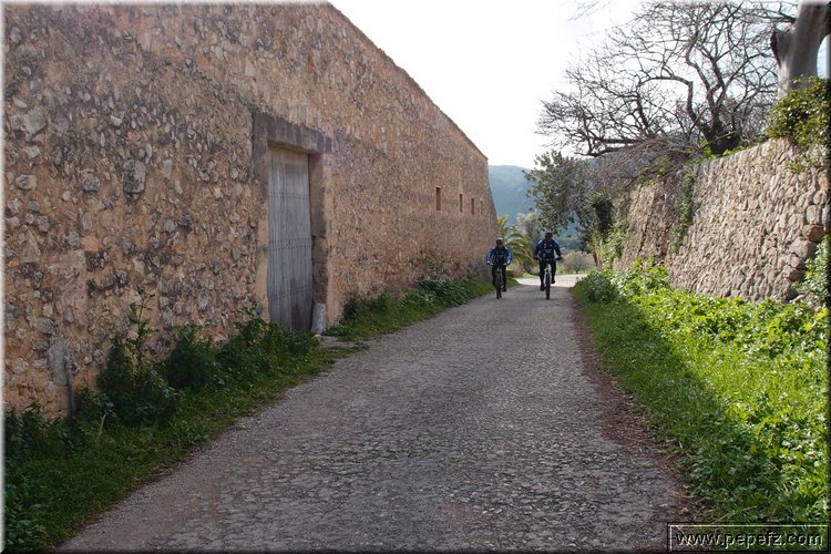 P2195994.JPG