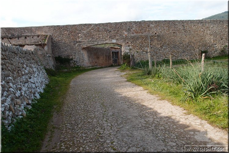 P2195996.JPG