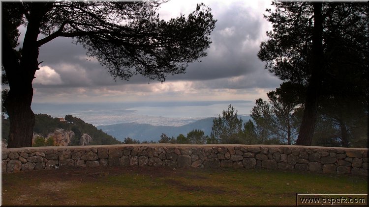 P2196036.JPG
