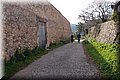 P2195994.JPG