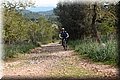 P2196005.JPG