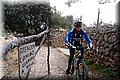 P2196020.JPG