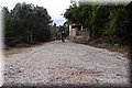 P2196026.JPG