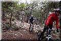 P2196050.JPG