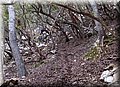 P2196071.JPG