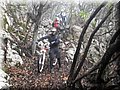 2013_02230013.JPG