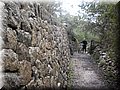 2013_02230021.JPG