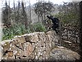 2013_02230023.JPG