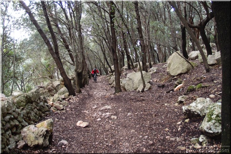 P2266279.JPG