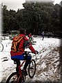 IMG-20130226-WA0017.jpg