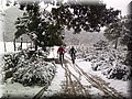 IMG-20130226-WA0052.jpg