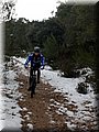IMG-20130226-WA0066.jpg