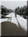 IMG-20130226-WA0081.jpg