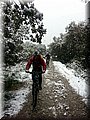 IMG-20130226-WA0082.jpg