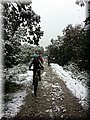 IMG-20130226-WA0083.jpg