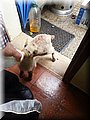 IMG-20130226-WA0147.jpg