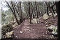 P2266279.JPG