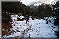 P2266399.JPG