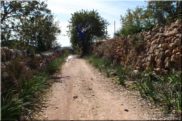 P3076640.JPG