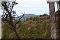 P3267484.JPG