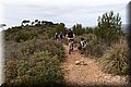 P3267495.JPG