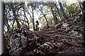P4098408.JPG
