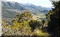 P4098432.JPG