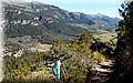 P4098433.JPG