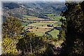 P4098434.JPG