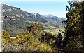 P4098439.JPG