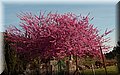 P4178545.JPG