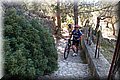 P4178578.JPG