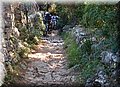 P4178584.JPG