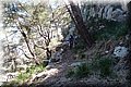 P4178628.JPG