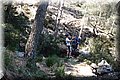 P4178631.JPG