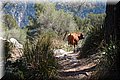 P4178645.JPG