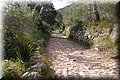P4208655.JPG