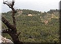 P4208667.JPG