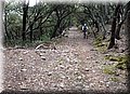 P4208671.JPG