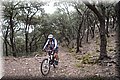 P4208672.JPG