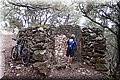 P4208675.JPG