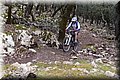 P4208686.JPG
