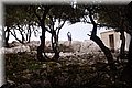 P4208702.JPG